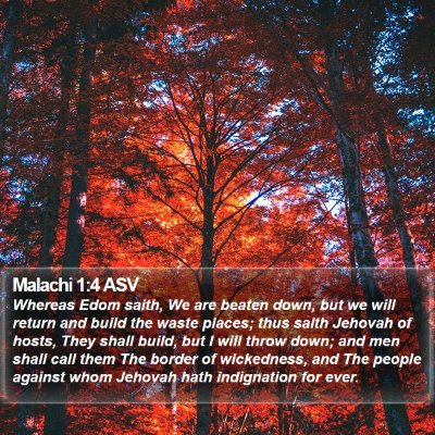 Malachi 1:4 ASV Bible Verse Image