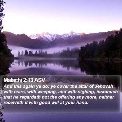 Malachi 2:13 ASV Bible Verse Image