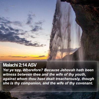 Malachi 2:14 ASV Bible Verse Image