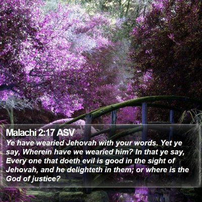 Malachi 2:17 ASV Bible Verse Image