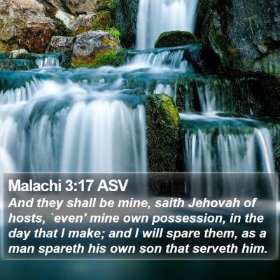Malachi 3:17 ASV Bible Verse Image