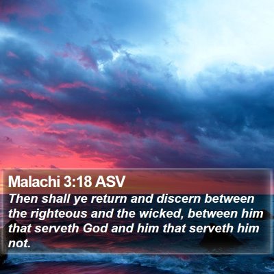 Malachi 3:18 ASV Bible Verse Image