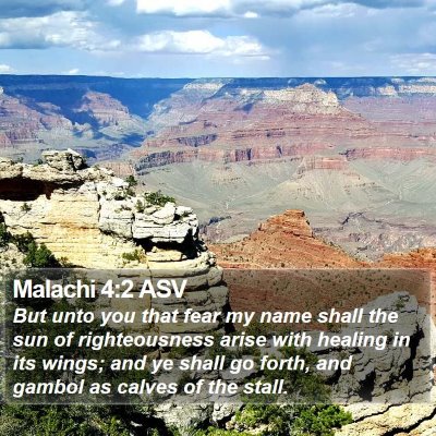 Malachi 4:2 ASV Bible Verse Image