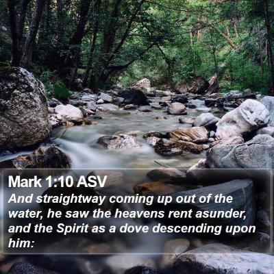 Mark 1:10 ASV Bible Verse Image