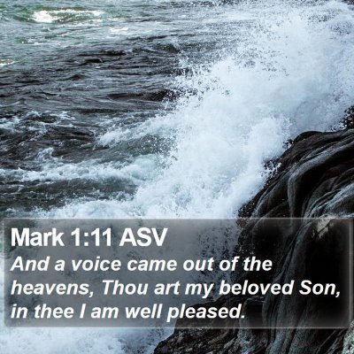 Mark 1:11 ASV Bible Verse Image