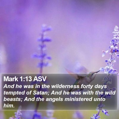 Mark 1:13 ASV Bible Verse Image