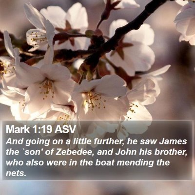 Mark 1:19 ASV Bible Verse Image