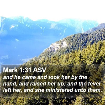 Mark 1:31 ASV Bible Verse Image