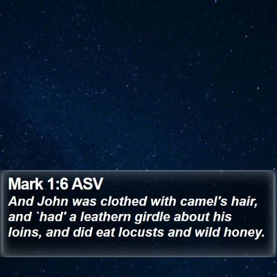 Mark 1:6 ASV Bible Verse Image