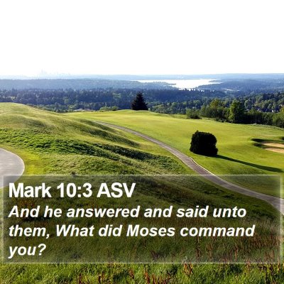 Mark 10:3 ASV Bible Verse Image