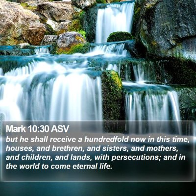 Mark 10:30 ASV Bible Verse Image