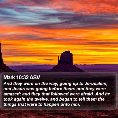 Mark 10:32 ASV Bible Verse Image