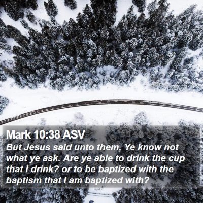Mark 10:38 ASV Bible Verse Image