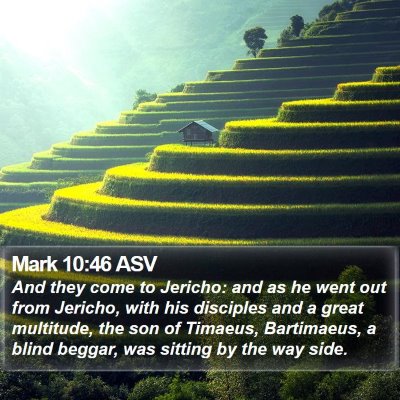 Mark 10:46 ASV Bible Verse Image