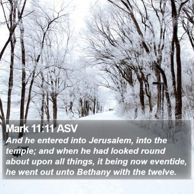 Mark 11:11 ASV Bible Verse Image