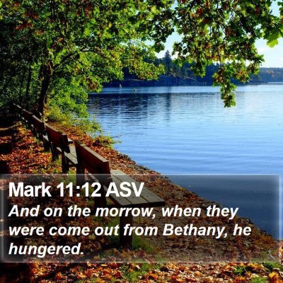 Mark 11:12 ASV Bible Verse Image