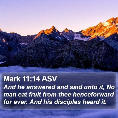 Mark 11:14 ASV Bible Verse Image