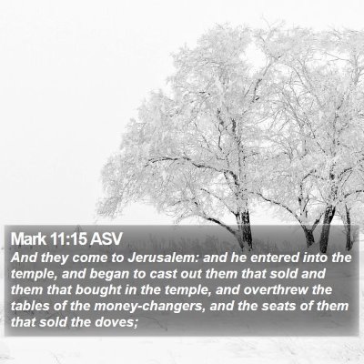 Mark 11:15 ASV Bible Verse Image