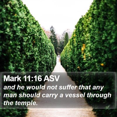 Mark 11:16 ASV Bible Verse Image