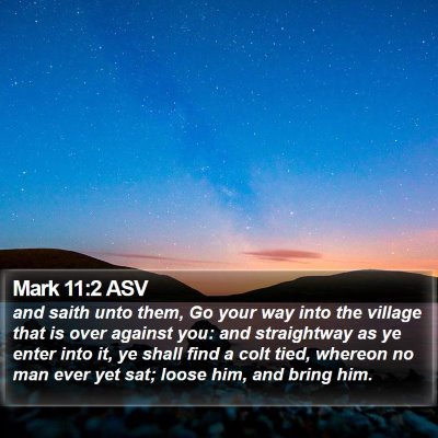 Mark 11:2 ASV Bible Verse Image