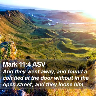 Mark 11:4 ASV Bible Verse Image