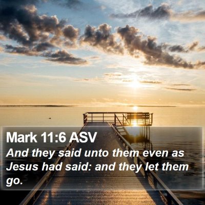 Mark 11:6 ASV Bible Verse Image