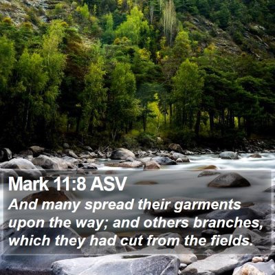 Mark 11:8 ASV Bible Verse Image