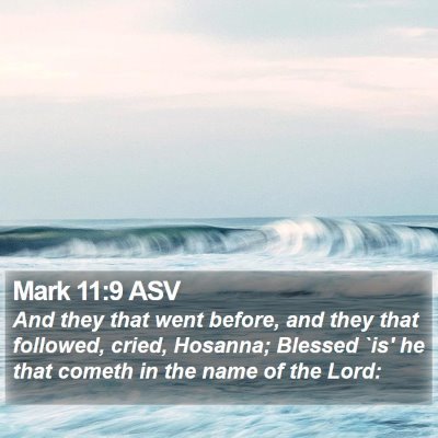 Mark 11:9 ASV Bible Verse Image
