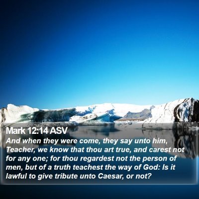 Mark 12:14 ASV Bible Verse Image
