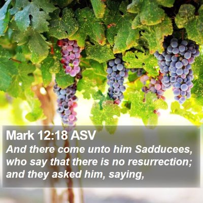 Mark 12:18 ASV Bible Verse Image