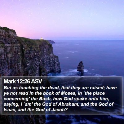 Mark 12:26 ASV Bible Verse Image