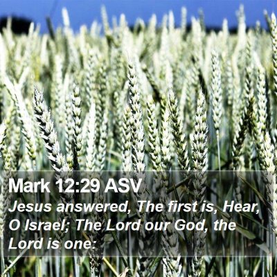 Mark 12:29 ASV Bible Verse Image