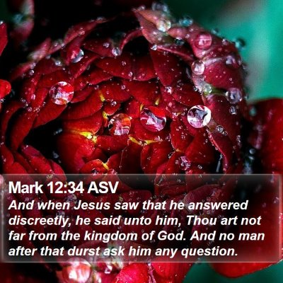 Mark 12:34 ASV Bible Verse Image