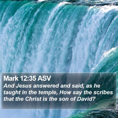 Mark 12:35 ASV Bible Verse Image