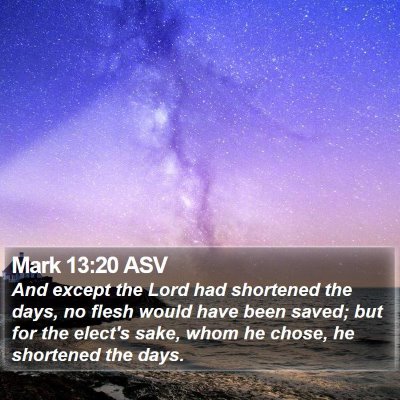 Mark 13:20 ASV Bible Verse Image