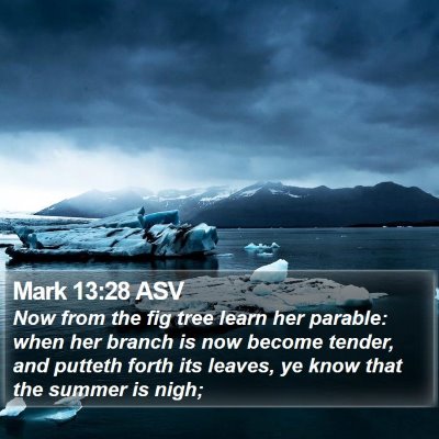 Mark 13:28 ASV Bible Verse Image