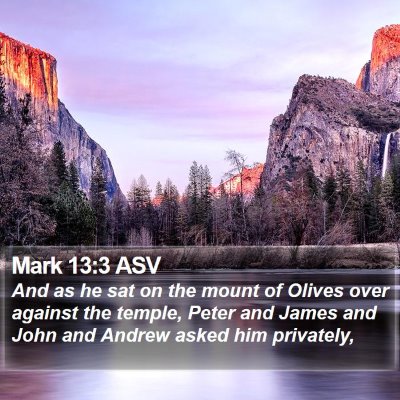 Mark 13:3 ASV Bible Verse Image