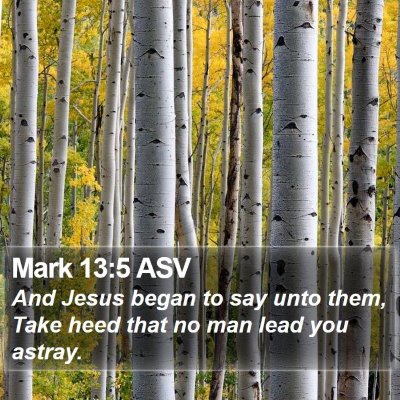 Mark 13:5 ASV Bible Verse Image