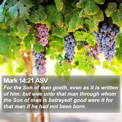 Mark 14:21 ASV Bible Verse Image