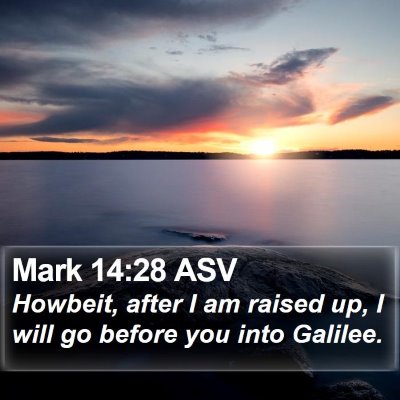 Mark 14:28 ASV Bible Verse Image