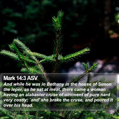 Mark 14:3 ASV Bible Verse Image