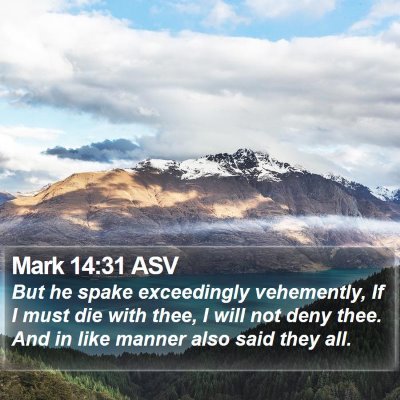 Mark 14:31 ASV Bible Verse Image