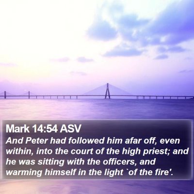 Mark 14:54 ASV Bible Verse Image