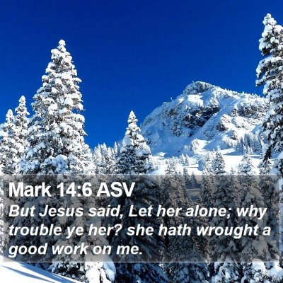 Mark 14:6 ASV Bible Verse Image