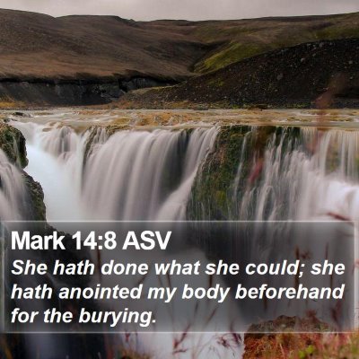 Mark 14:8 ASV Bible Verse Image