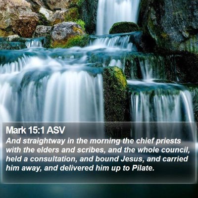 Mark 15:1 ASV Bible Verse Image