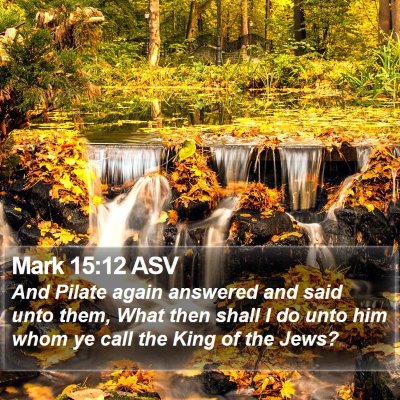Mark 15:12 ASV Bible Verse Image