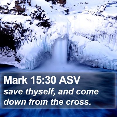 Mark 15:30 ASV Bible Verse Image
