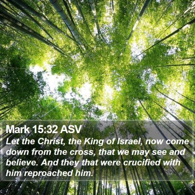 Mark 15:32 ASV Bible Verse Image