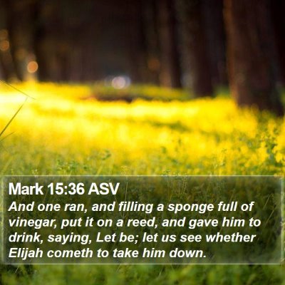 Mark 15:36 ASV Bible Verse Image